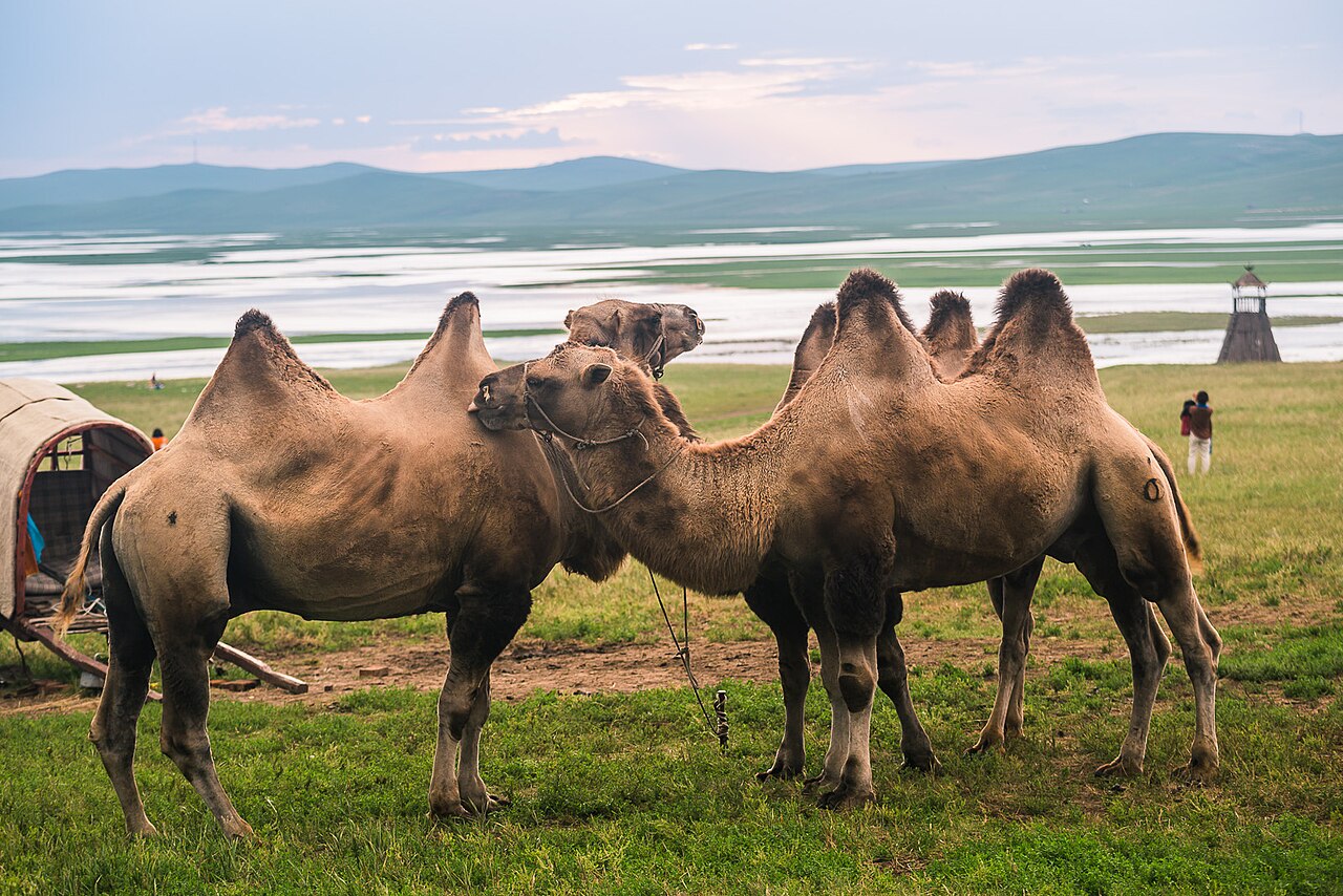 Region Hulunbuir